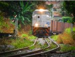 VLI 8361